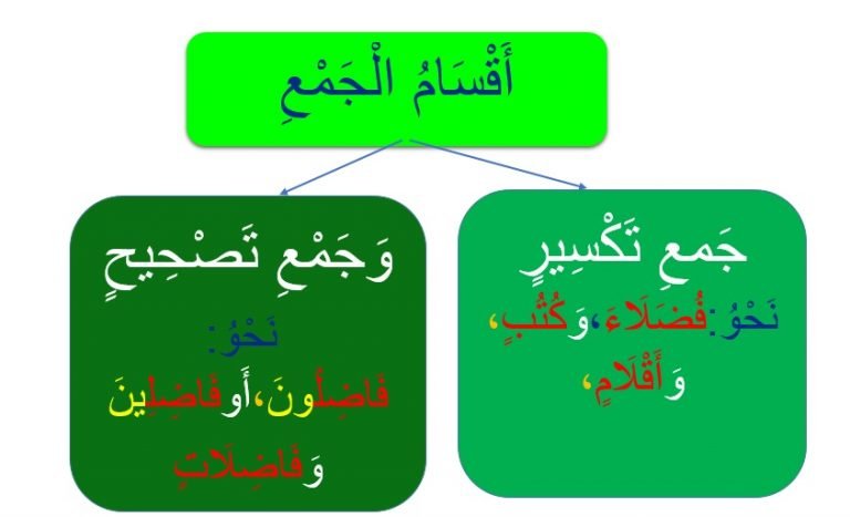 the-categories-of-plural-amin-academy