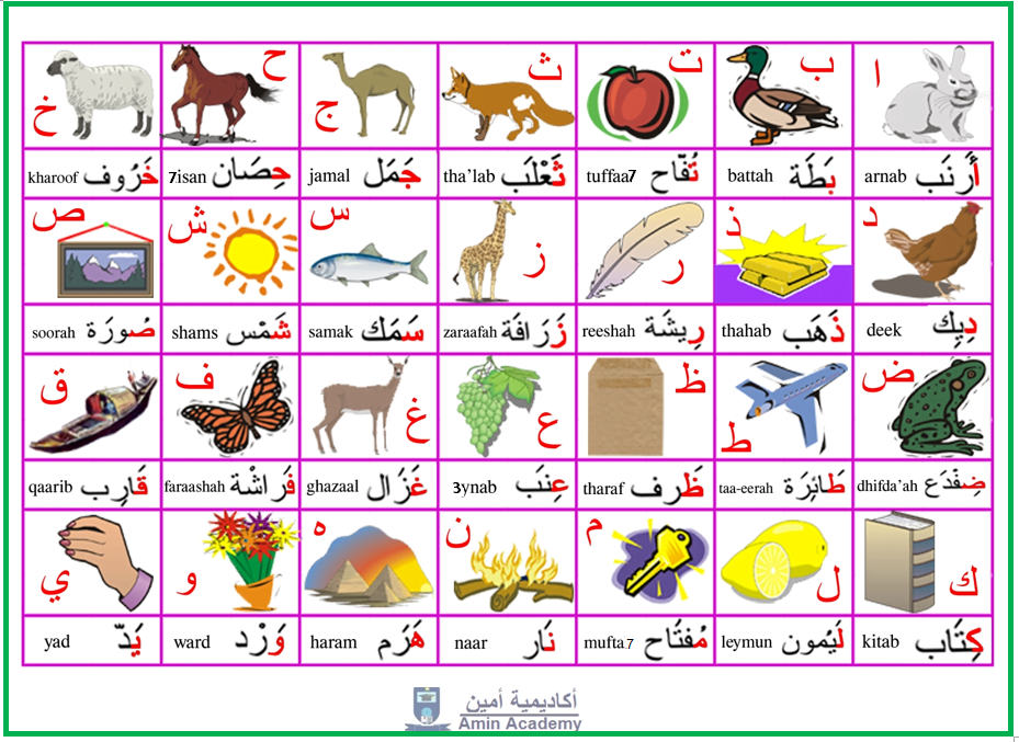 Arabic Alphabet Basics Amin Academy أكاديمية أمين